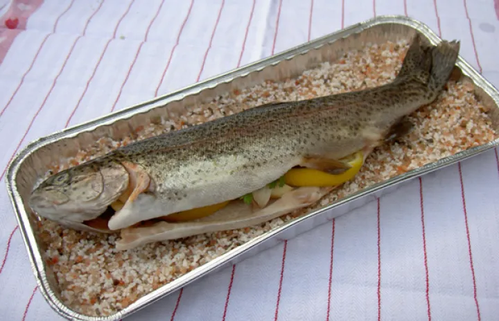 Ausseer Ursalzfisch