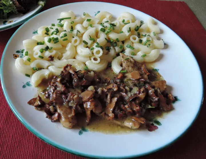 Eierschwammerlsoße - mit und ohne Fleisch