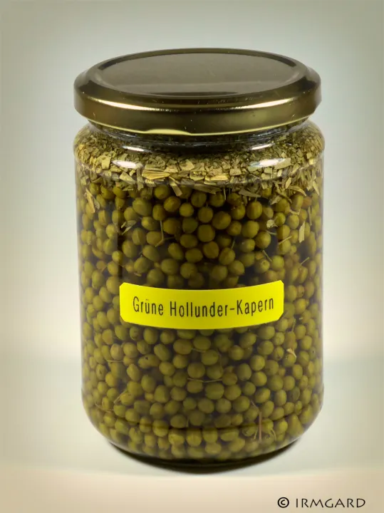 Grüne Holunder-Kapern