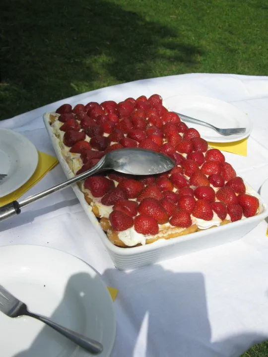 Erdbeer-Tiramisu