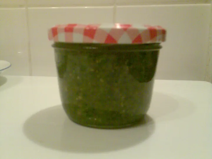 Herbst-Pesto (Ein letztes mal das Kräuterbeet geplündert, bevor der Frost zuschlägt)