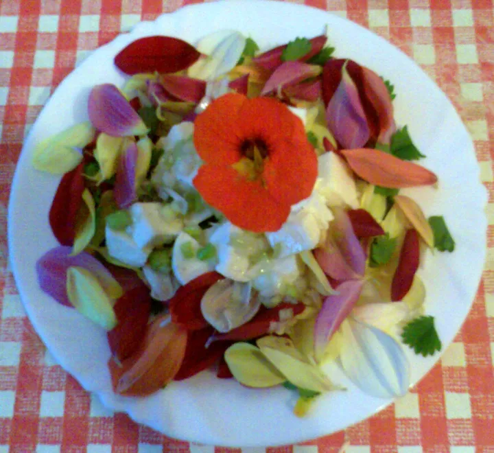Dahliensalat mit Mozzarella