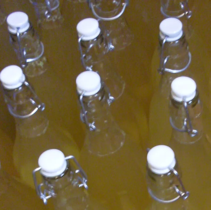 Holunderblüten - Sirup / Variante 4