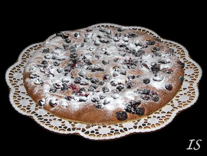 Cranberrykuchen