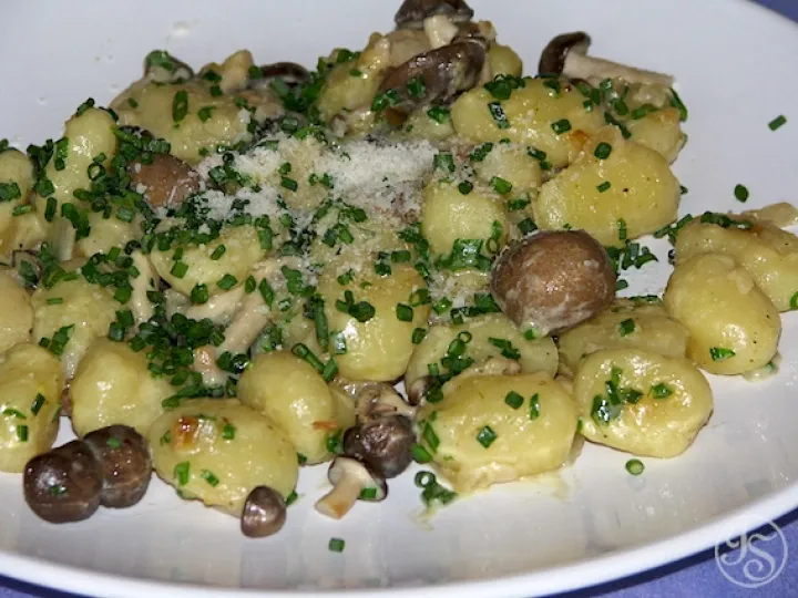 Gnocchi mit Buchenraslingen