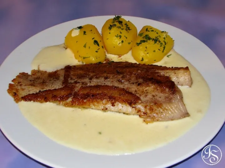 Welsfilet auf Zwiebelschaum