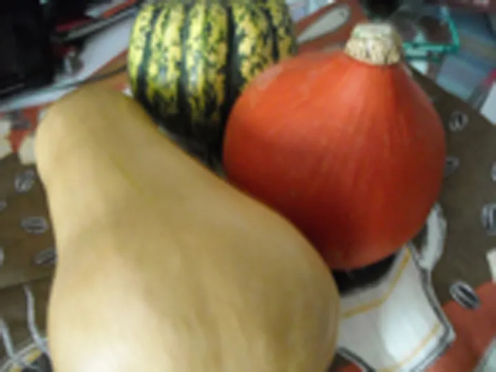 Kürbisragout mit Putenfleisch