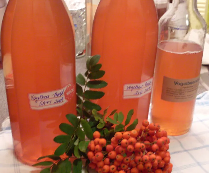 Vogelbeer - Apfelsirup