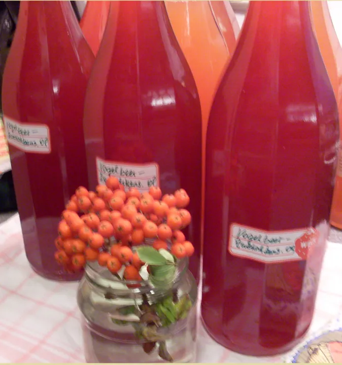 Vogelbeer - Zwetschkensirup