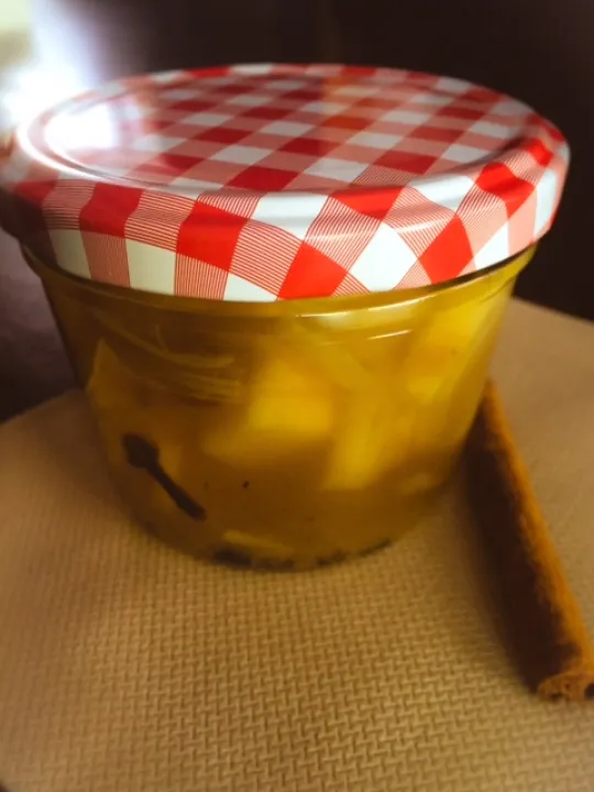 Apfel-Rhabarber Kompott