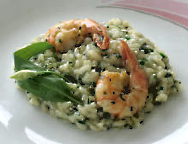 Bärlauchrisotto mit Garnelen