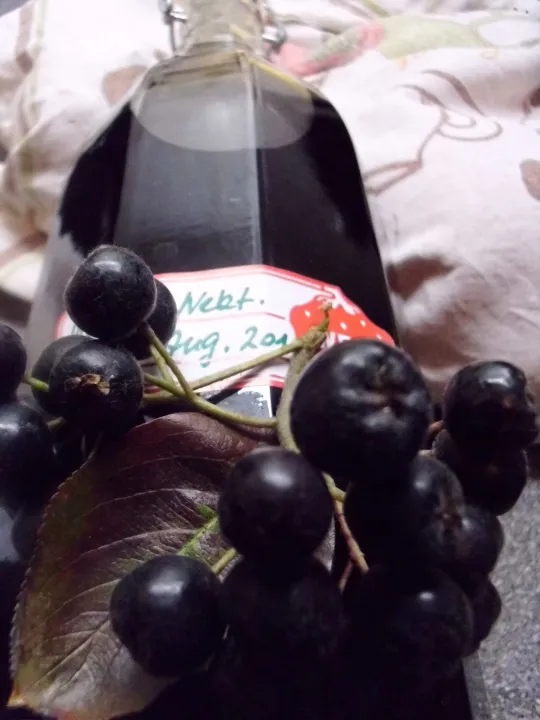 Aronia- Nektarinensaft