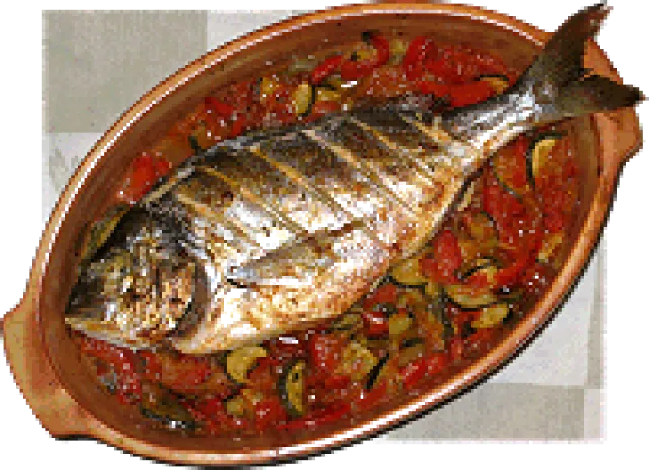 Dorade Mediterran
