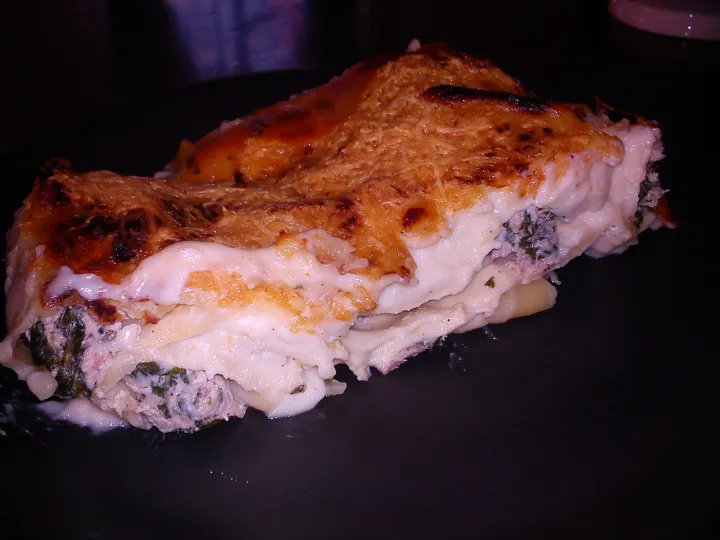 Cannelloni mit Thunfisch und Spinat