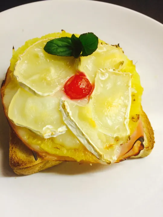 TOAST HAWAII"Spezial"