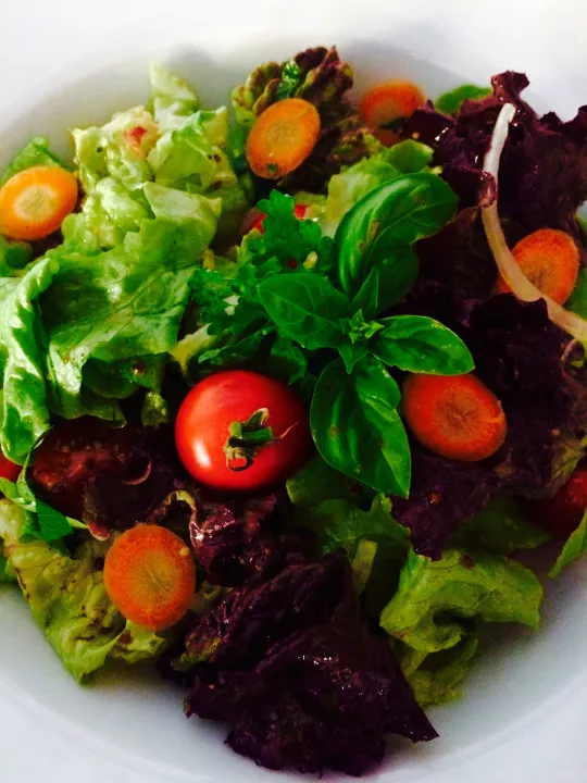 Gartensalat mit Dijon -Senf Dressing 