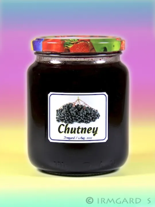 Holler-Chutney
