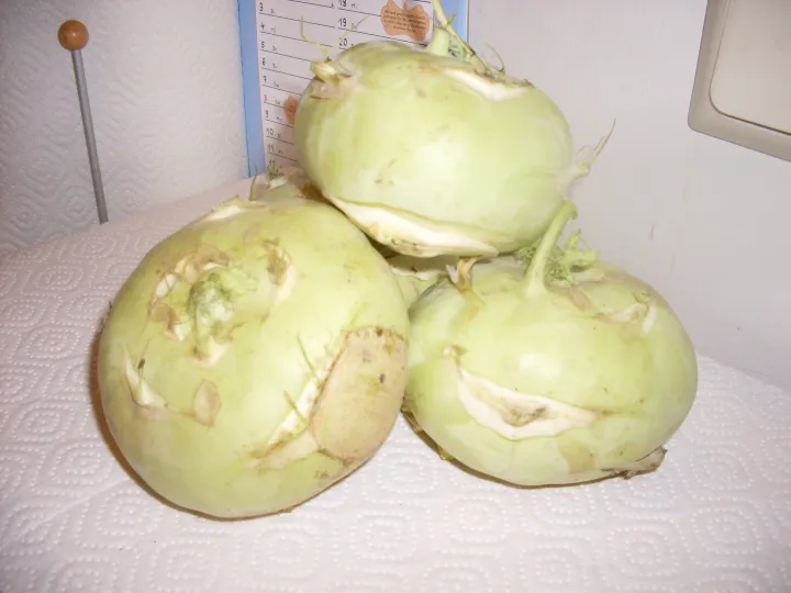 Kohlrabisalat